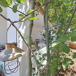 Casale Montedoro 3* צ'יסטרנינו