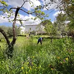 Casale Montedoro