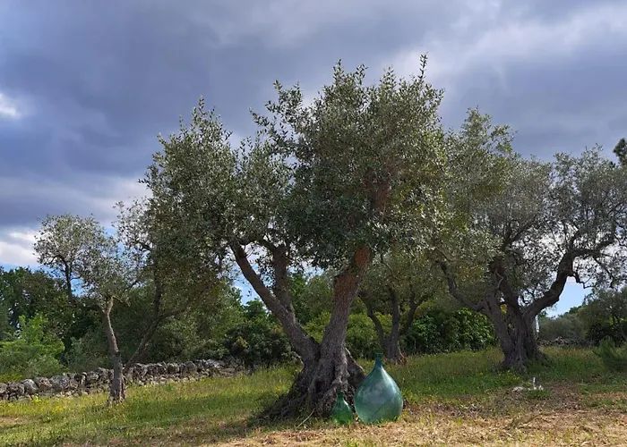 Casale Montedoro Affittacamere