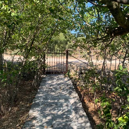 Pensión Casale Montedoro